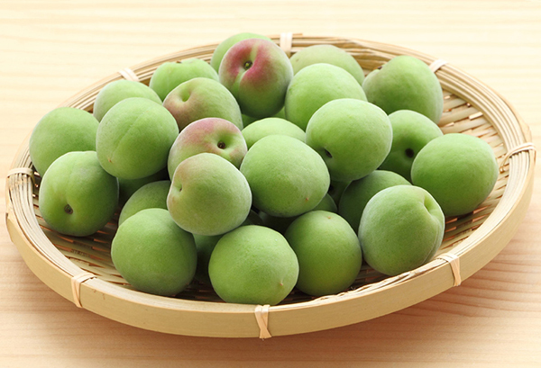 Tìm hiểu về Quả Mơ