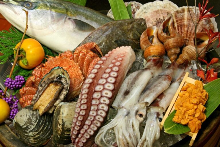 Trung Quốc bắt đầu nhập khẩu trở lại một phần thủy sản Nhật Bản
