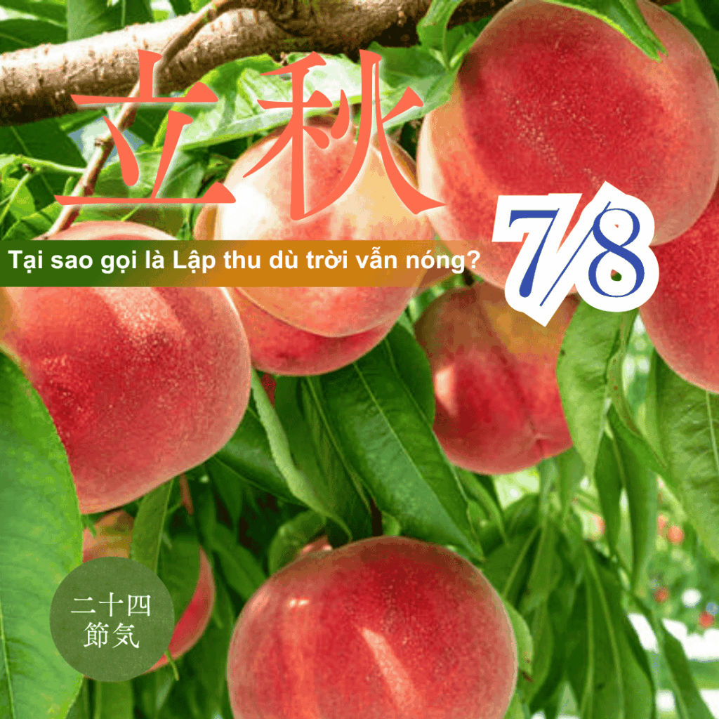 Tại sao gọi là Lập thu dù trời vẫn nóng? Giải mã ý nghĩa ngày Lập thu