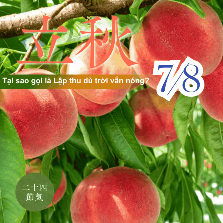 Tại sao gọi là Lập thu dù trời vẫn nóng? Giải mã ý nghĩa ngày Lập thu