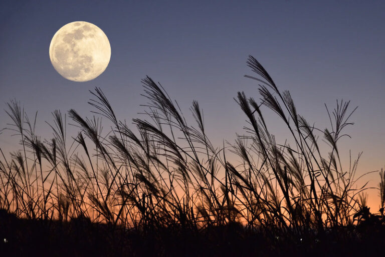 retina_pixta_70045352_M