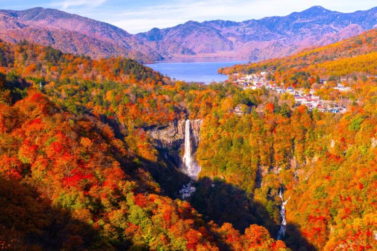 Momijigari (ngắm lá đỏ) là gì? Ý nghĩa và cách thưởng thức