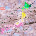 Hoa anh đào Nhật Bản 2026 nở khi nào? Lịch dự báo mới nhất toàn quốc